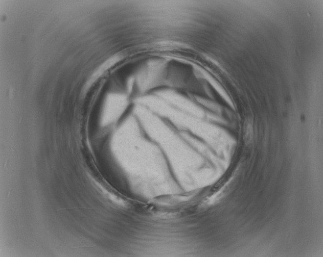 X0000060741410200512081906