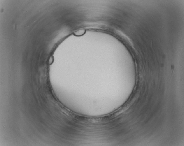 X0000060741411200512081906