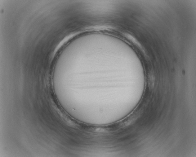 X0000060741412200512081906