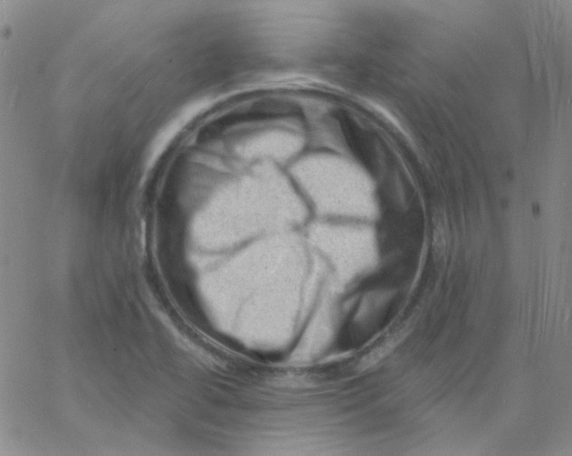 X0000060741414200512081906