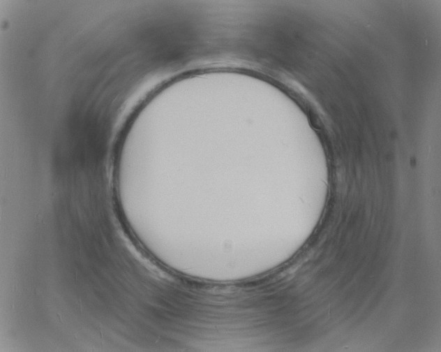 X0000060741416200512081906