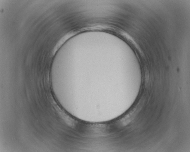 X0000060741417200512081906