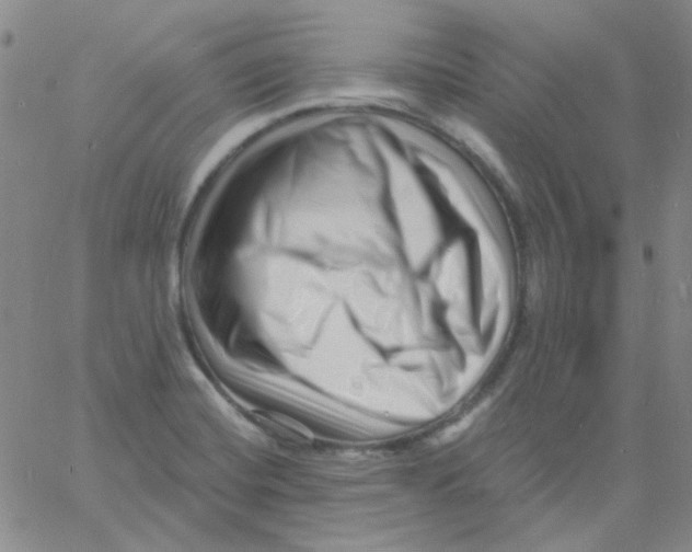 X0000060741420200512081906