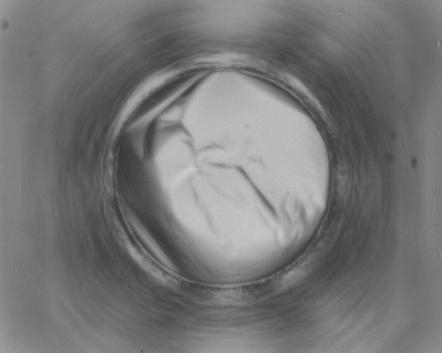 X0000060741421200512081906