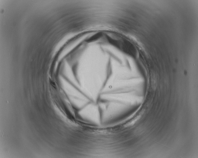 X0000060741422200512081906