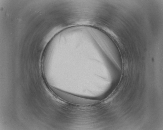 X0000060741423200512081906