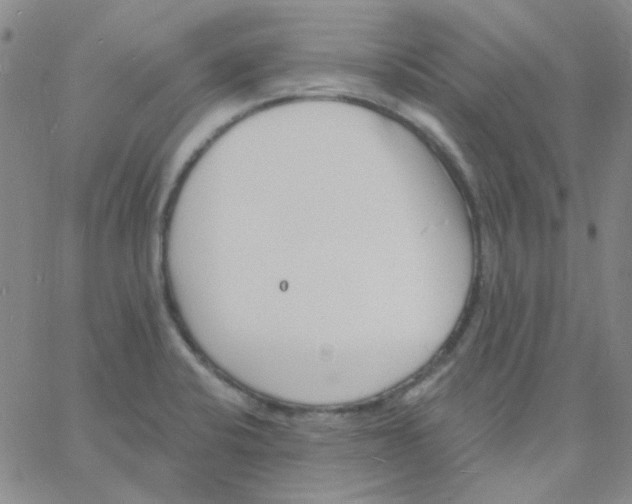 X0000060741424200512081906