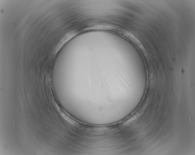 X0000060741425200512081906