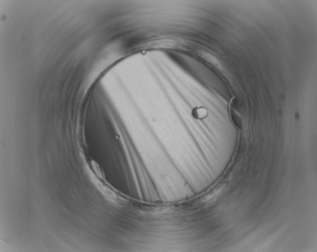 X0000060741426200512081906