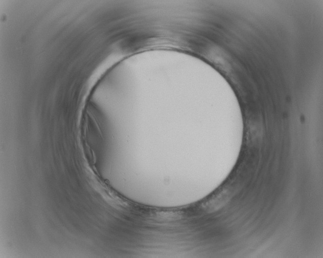 X0000060741427200512081906