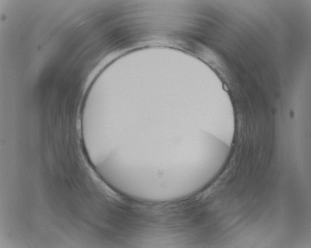 X0000060741428200512081906