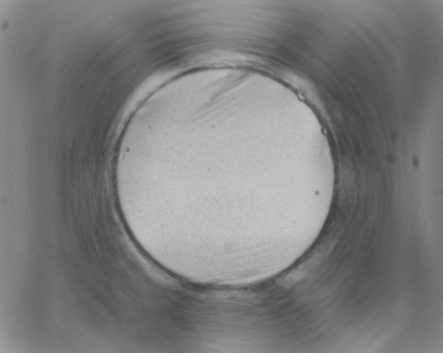 X0000060741429200512081906