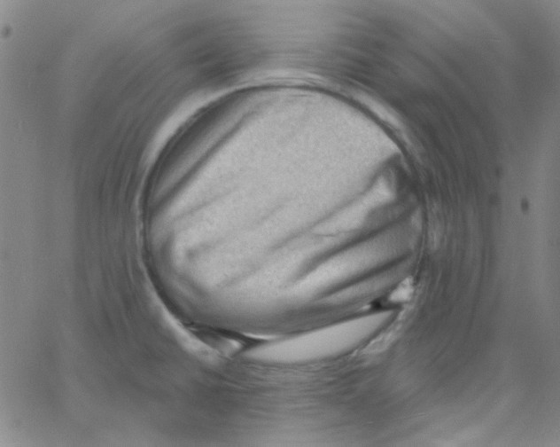 X0000060741430200512081906