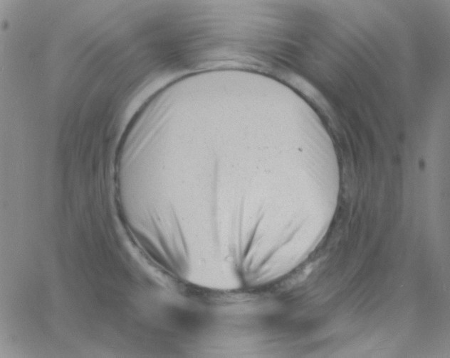 X0000060741431200512081906