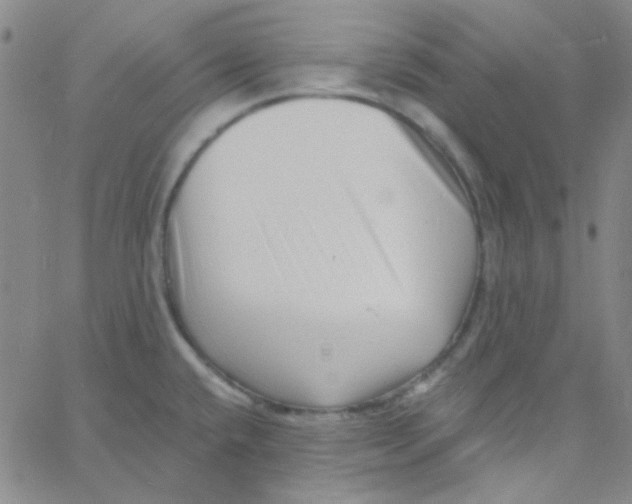 X0000060741432200512081906