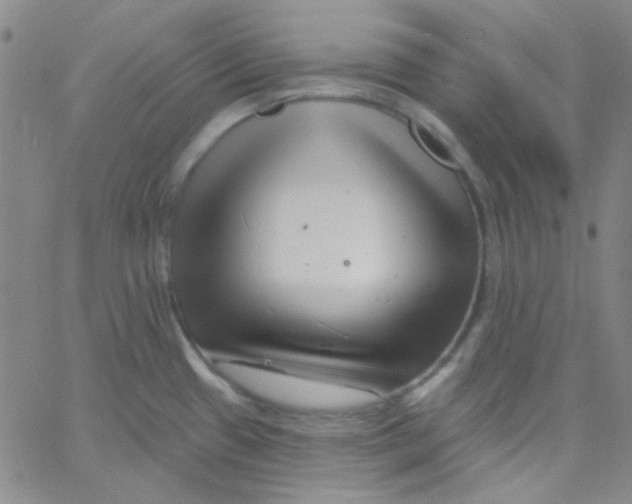 X0000060741433200512081906