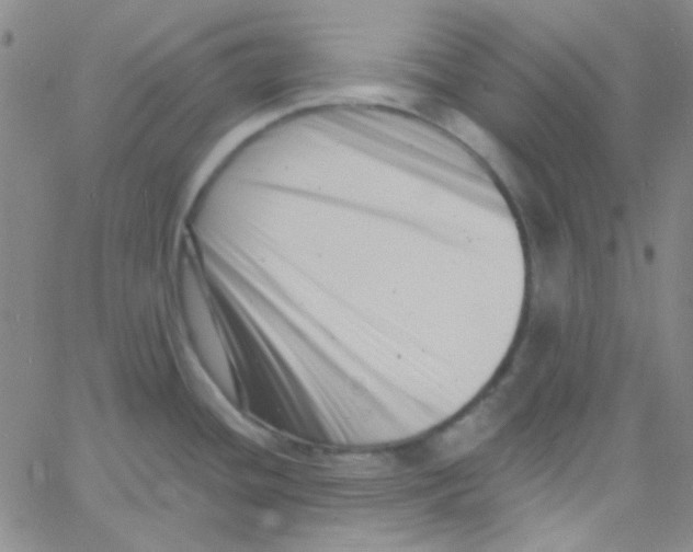 X0000060741436200512081906