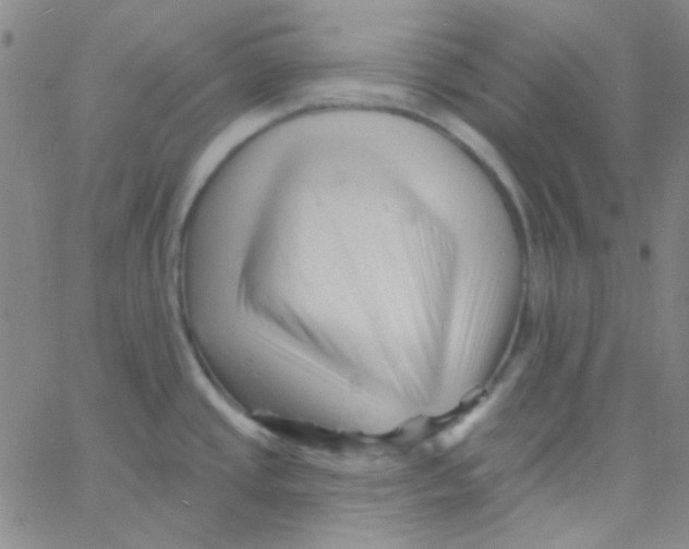 X0000060741437200512081906