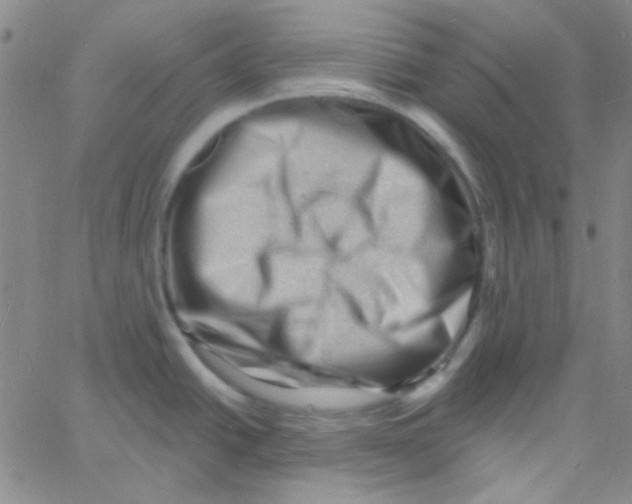 X0000060741438200512081906