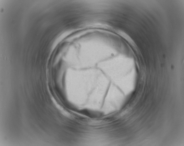 X0000060741439200512081906