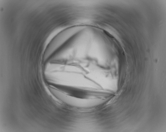 X0000060741440200512081906