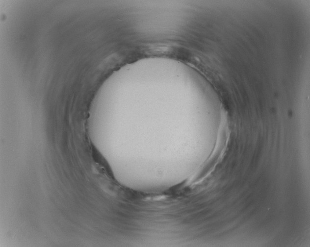 X0000060741441200512081906