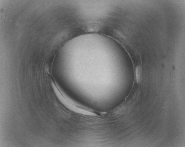 X0000060741443200512081906