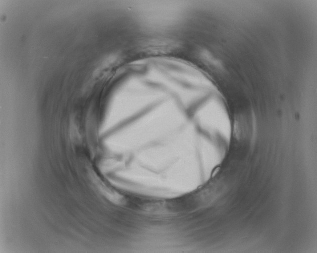 X0000060741444200512081906