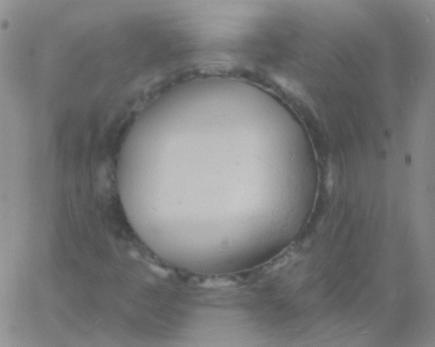 X0000060741445200512081906