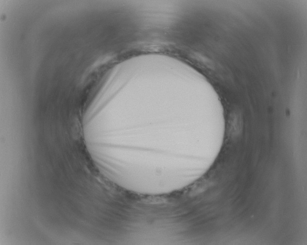 X0000060741446200512081906