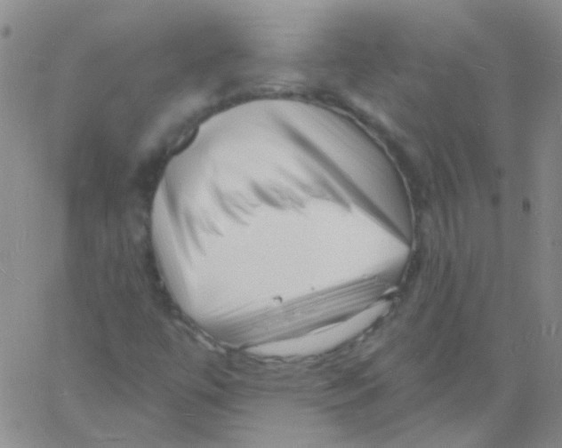 X0000060741447200512081906