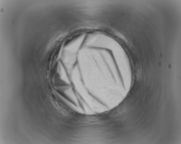 X0000060741448200512081906