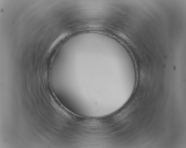 X0000060741450200512081906