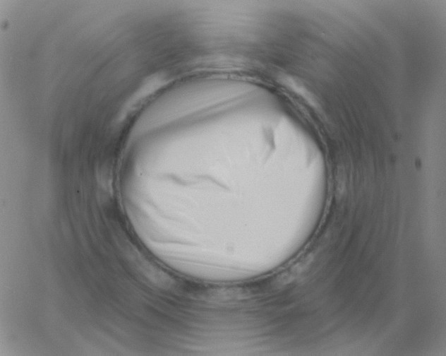 X0000060741451200512081905