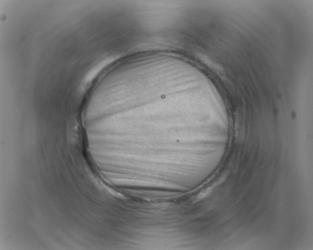 X0000060741453200512081905