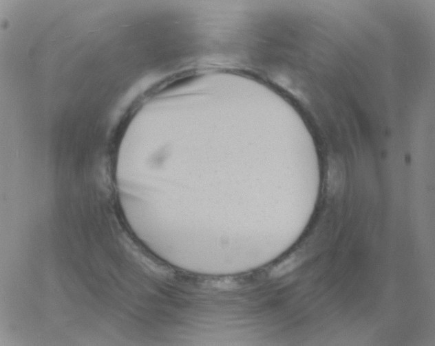 X0000060741454200512081905