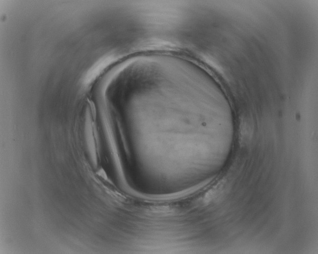 X0000060741455200512081905