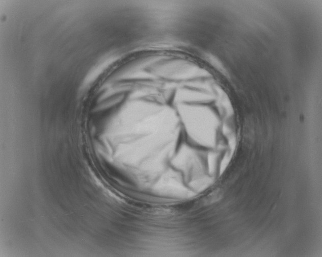 X0000060741456200512081905