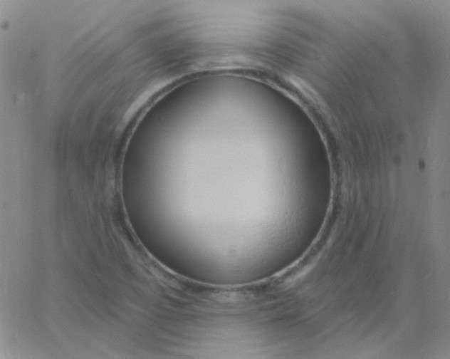 X0000060741457200512081905