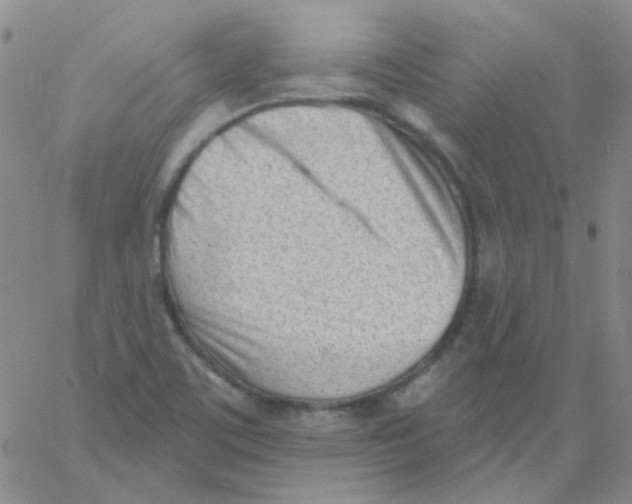 X0000060741459200512081905