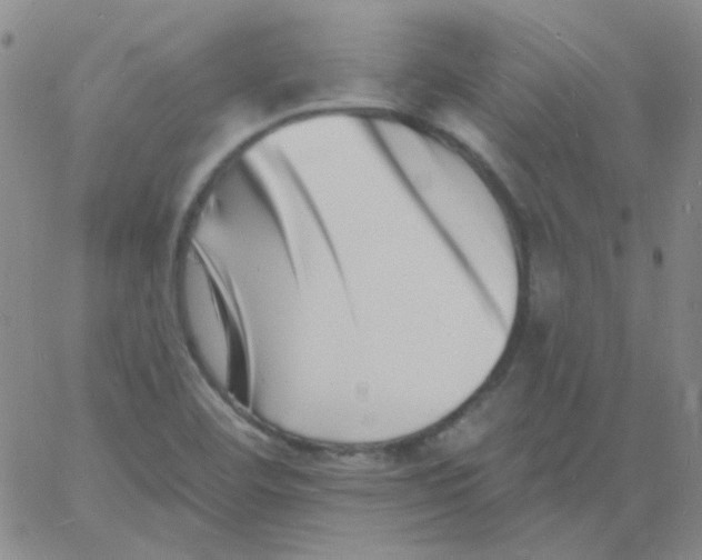 X0000060741460200512081905