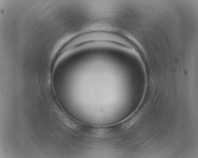 X0000060741461200512081905