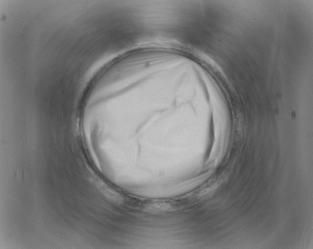 X0000060741462200512081905