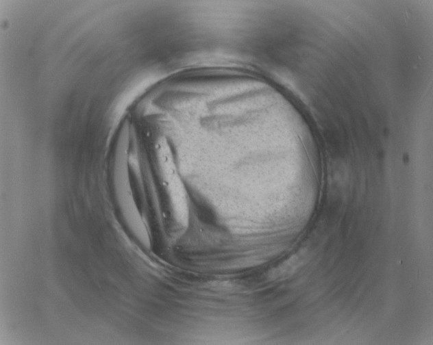 X0000060741463200512081905