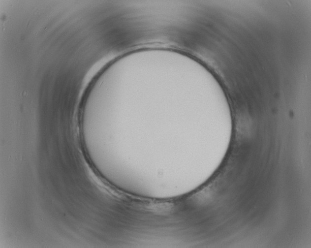 X0000060741466200512081905