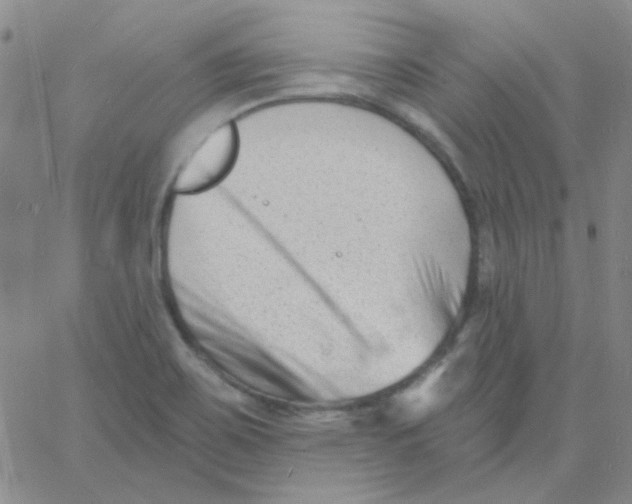 X0000060741467200512081905