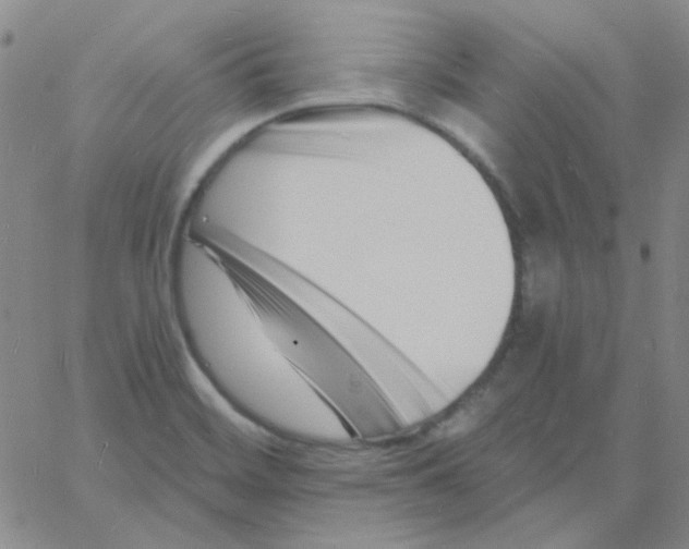 X0000060741468200512081905