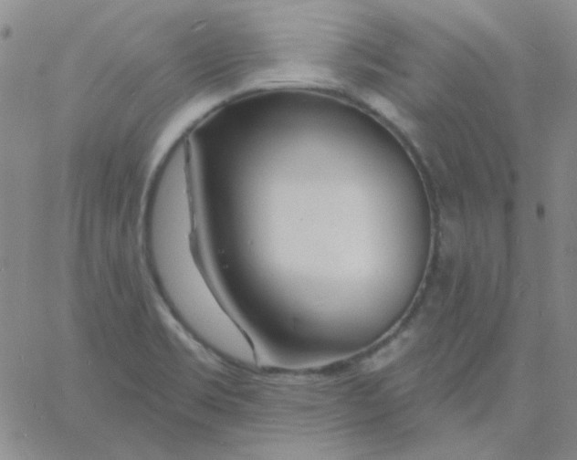 X0000060741469200512081905