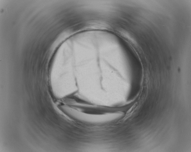 X0000060741471200512081905