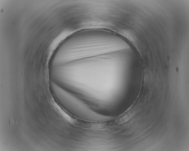 X0000060741472200512081905